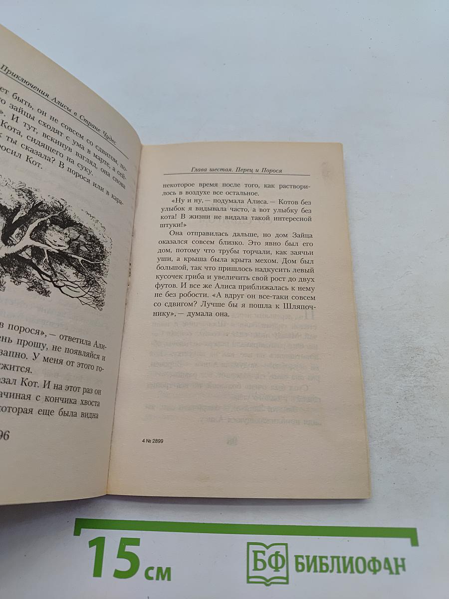 Приключения Алисы в Стране Чудес