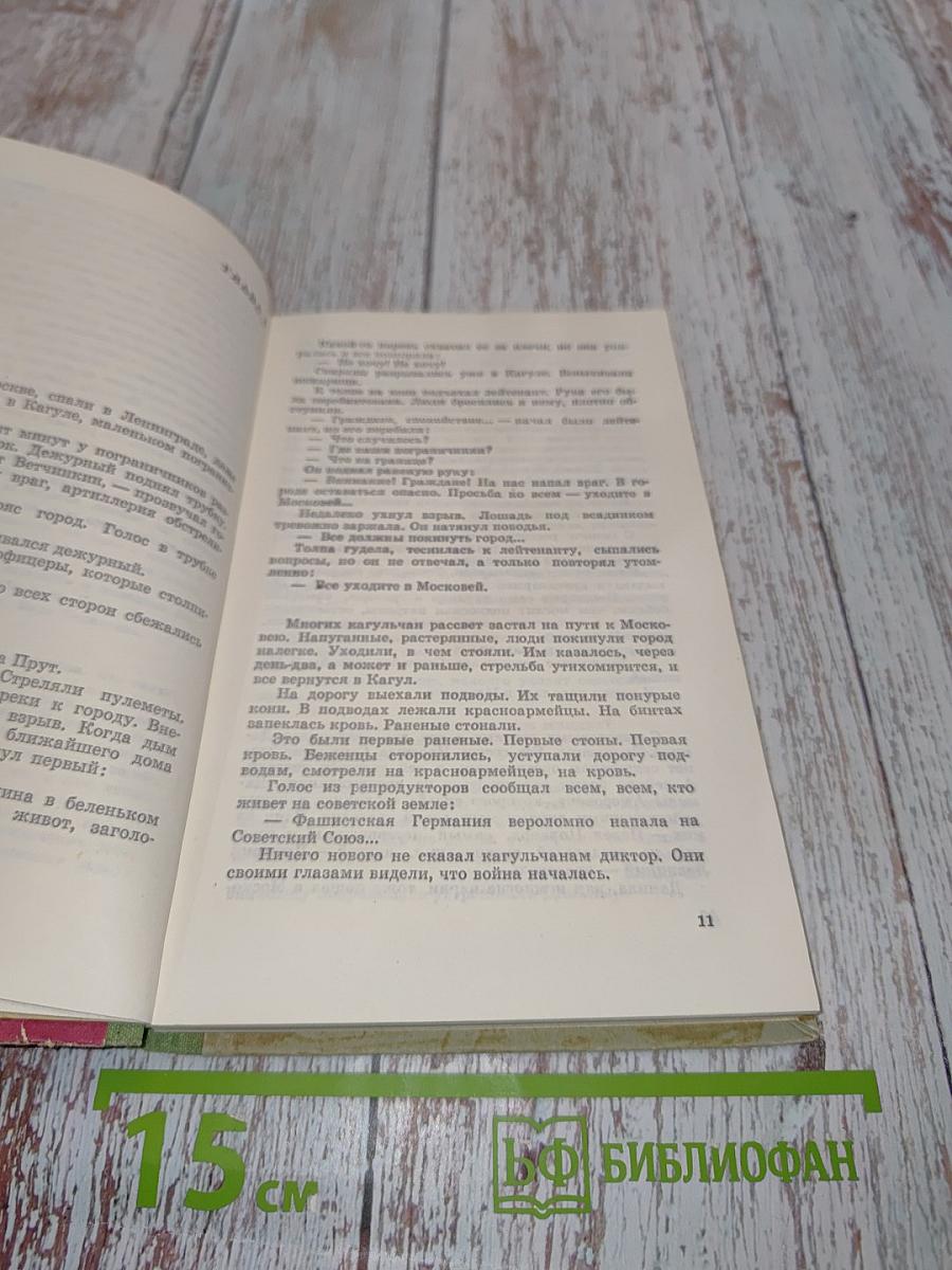 Орлы остаются в небе