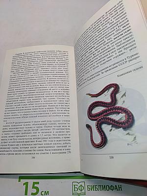 Редкие и исчезающие животные. По страницам Красной книги СССР