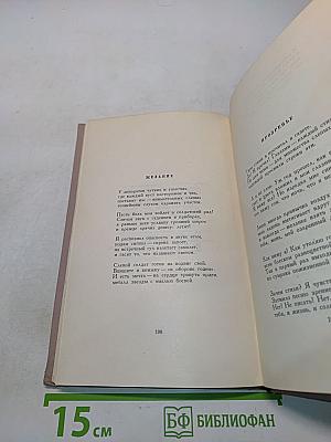 Этот мир. Новые стихотворения