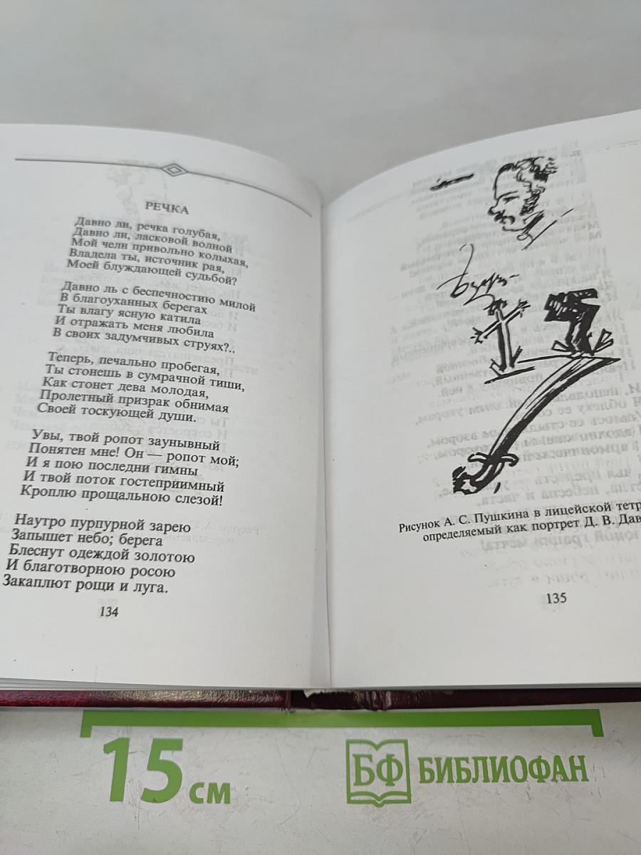 Стихотворения. Военные записки