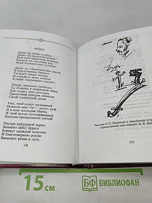 Стихотворения. Военные записки