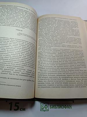 Собрание сочинений в шести томах. Том 5: Браво, или В Венеции; Морская волшебница