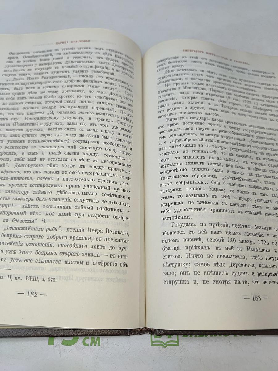 Царица Прасковья. Очерк из русской истории XVIII века