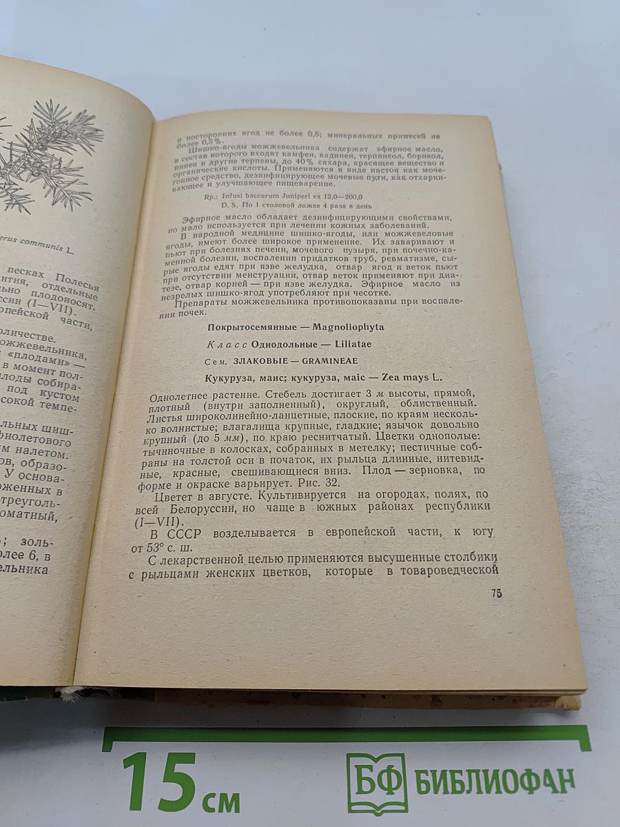Лекарственные растения и их применение