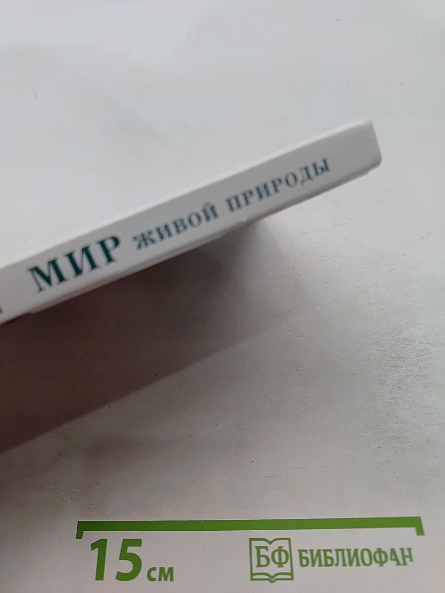Мир живой природы. В деревне