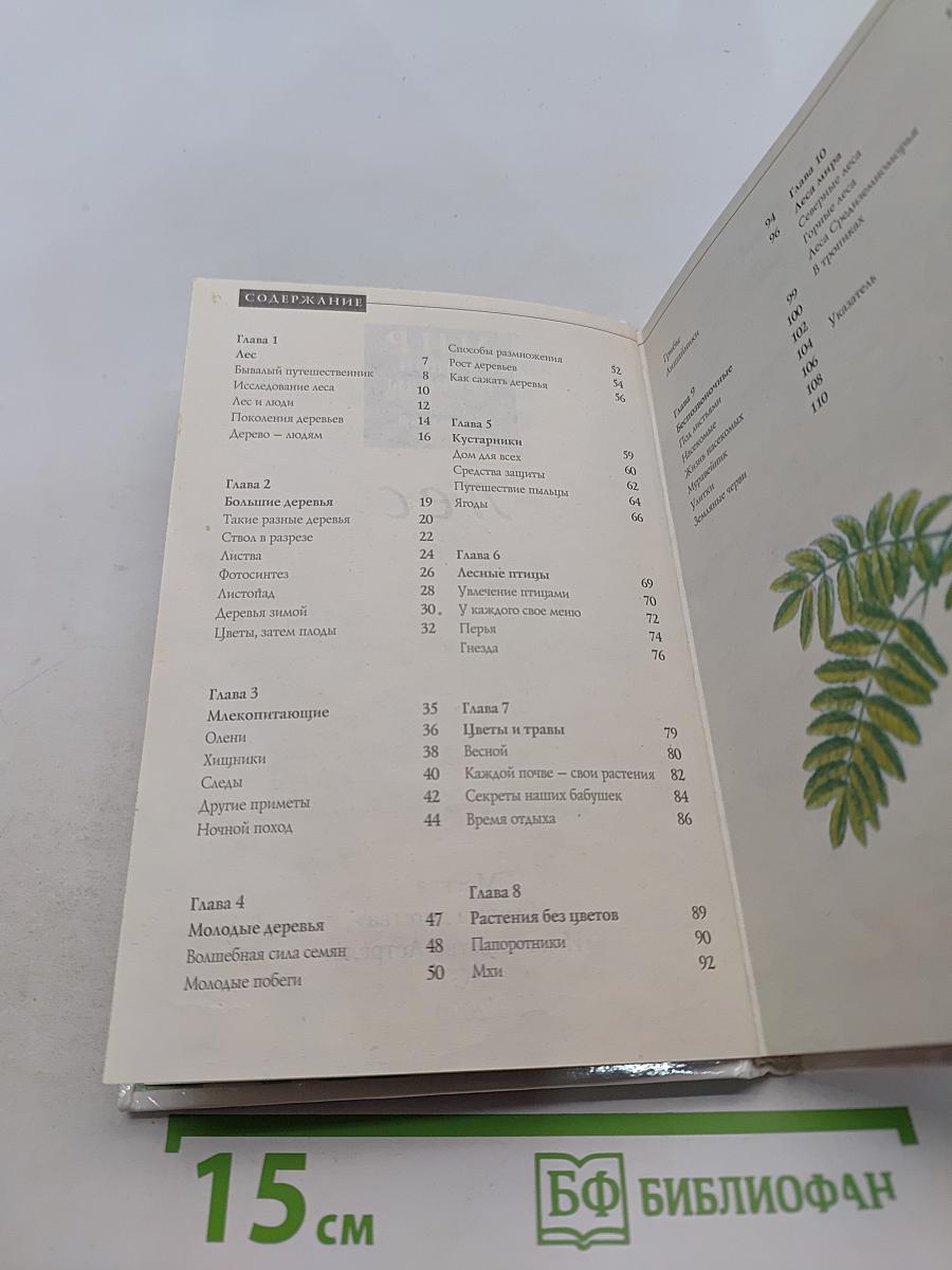 Мир живой природы. Лес
