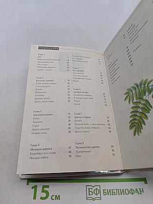 Мир живой природы. Лес