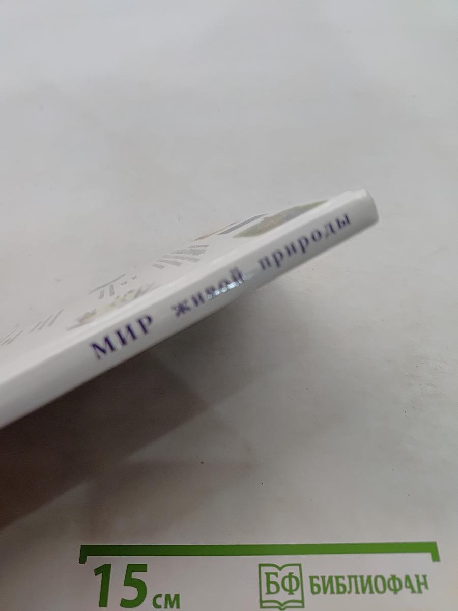 Мир живой природы. Лес