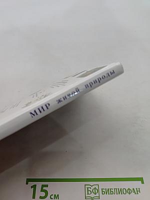 Мир живой природы. Лес