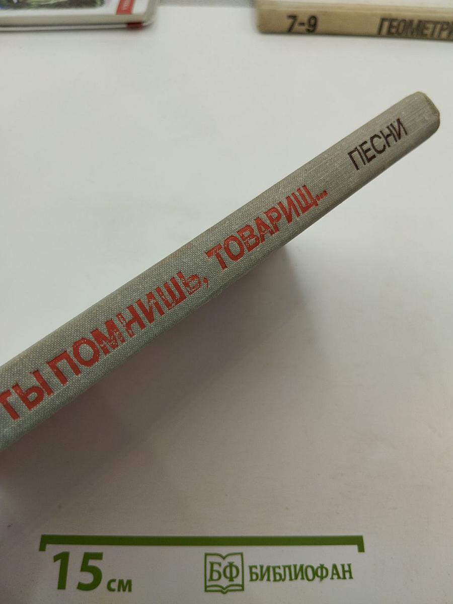 Ты помнишь, товарищ... Песни