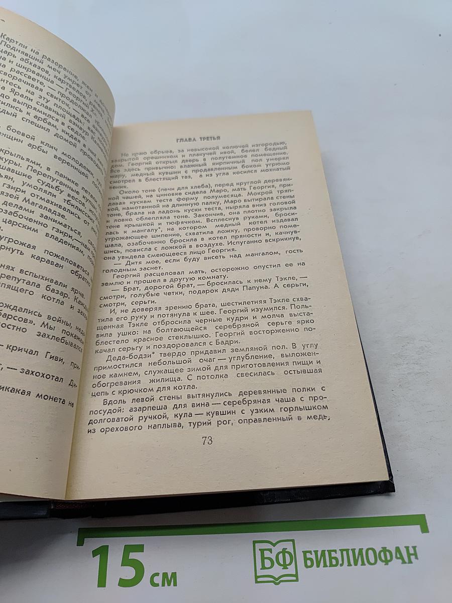 Великий Моурави. Книга первая. Пробуждение Барса