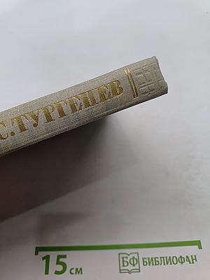 Собрание сочинений. Том пятый. Повести и рассказы 1844-1853