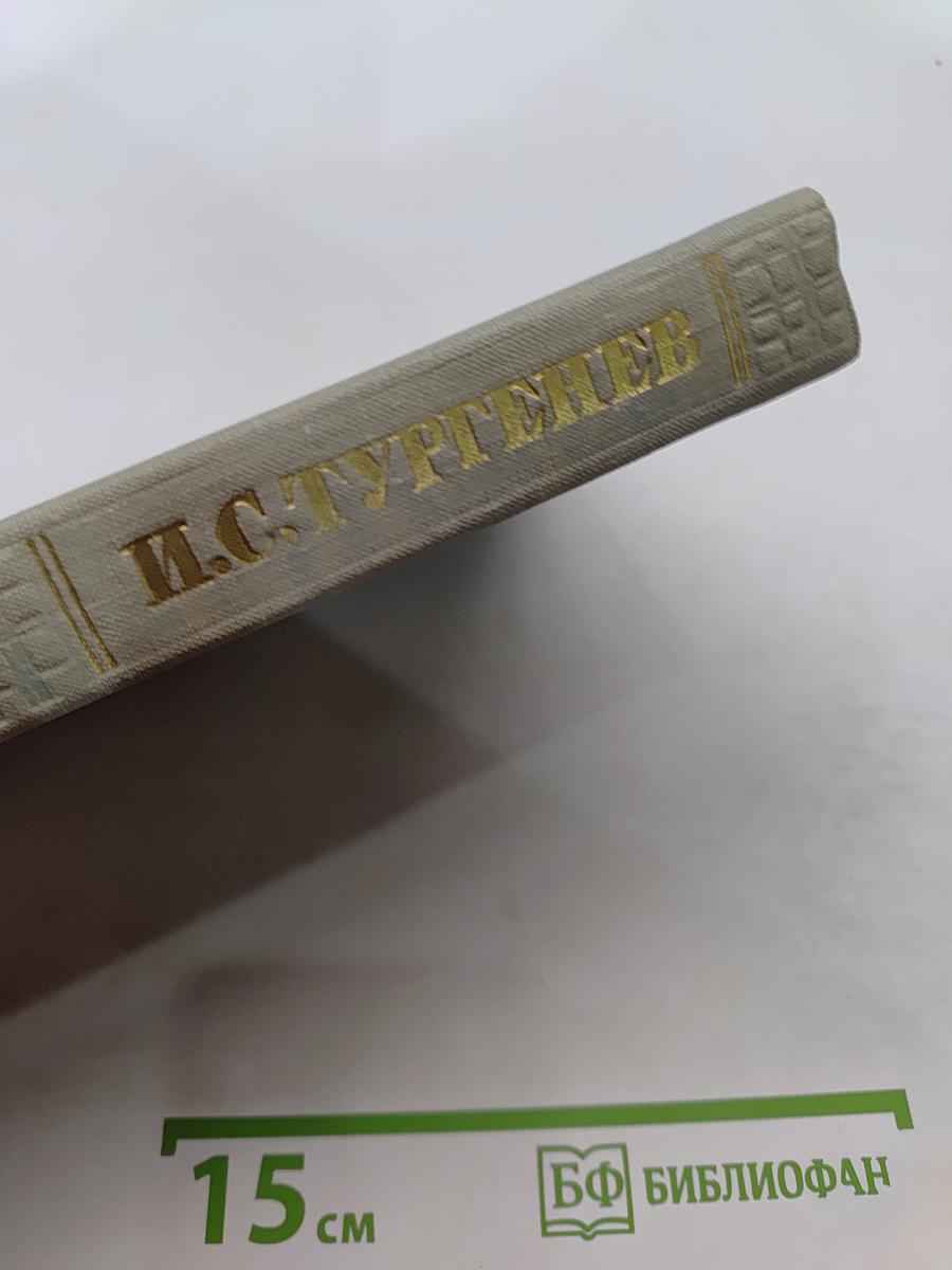 Собрание сочинений. Том десятый. Стихотворения в прозе. Литературные и житейские воспоминания. Избранные статьи и речи