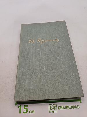 Собрание сочинений. Том восьмой. Повести и рассказы 1870-1882