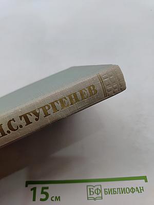 Собрание сочинений. Том восьмой. Повести и рассказы 1870-1882