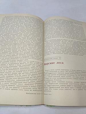 Леса моря