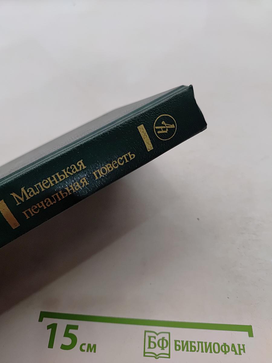 Маленькая печальная повесть