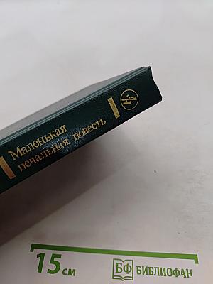 Маленькая печальная повесть