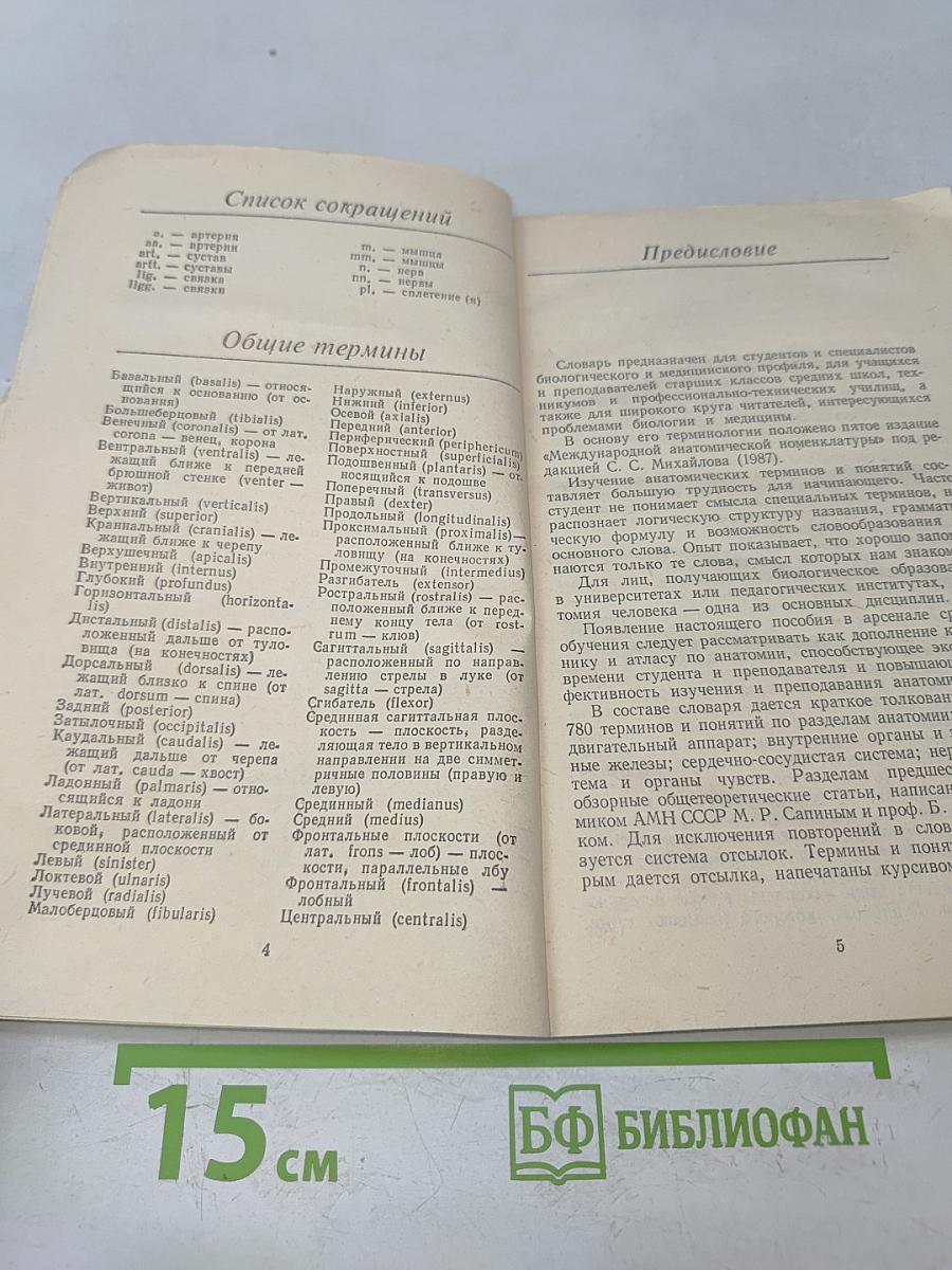 Словарь терминов и понятий по анатомии человека