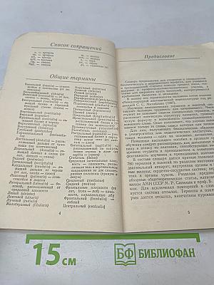 Словарь терминов и понятий по анатомии человека