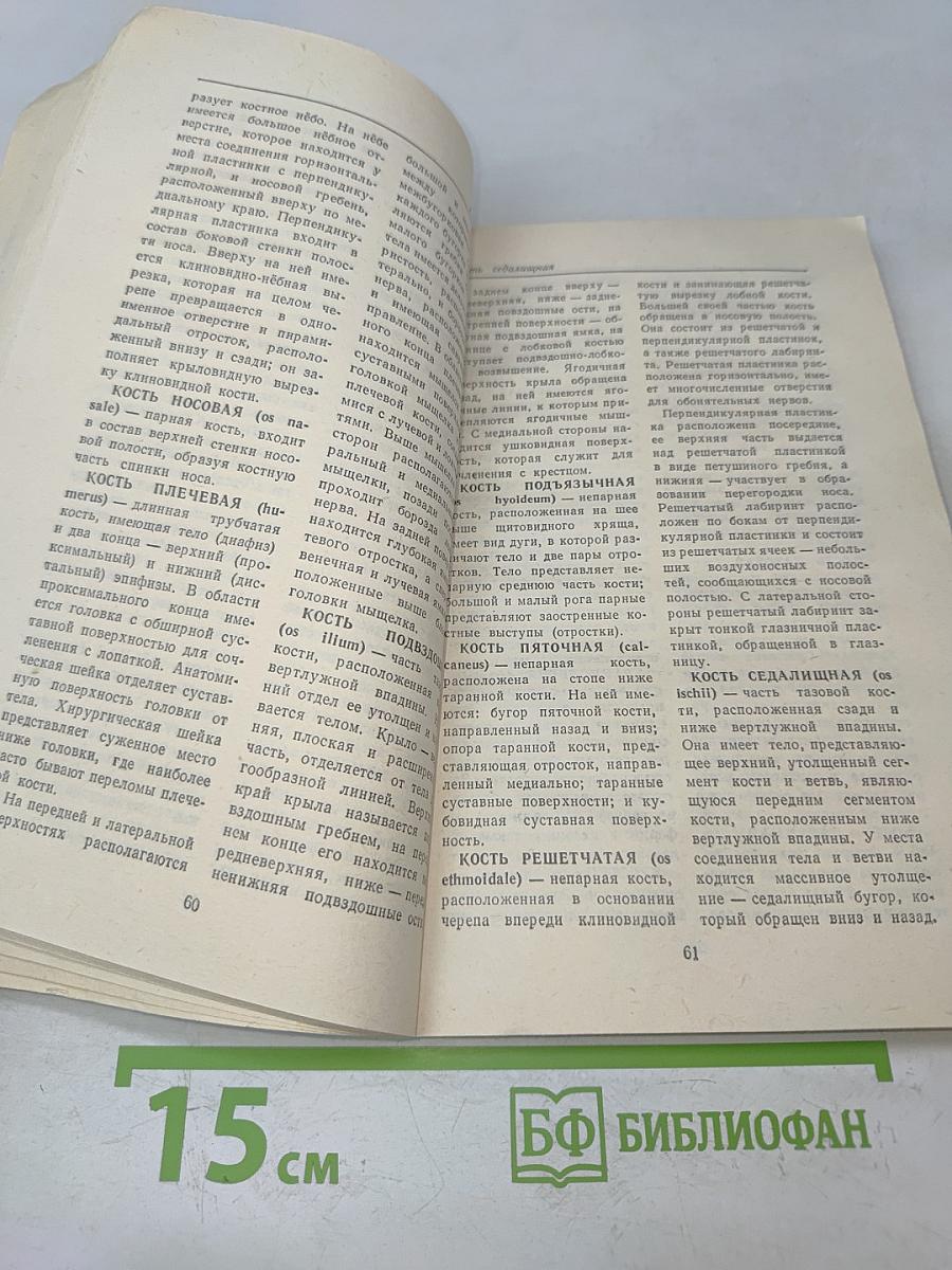 Словарь терминов и понятий по анатомии человека