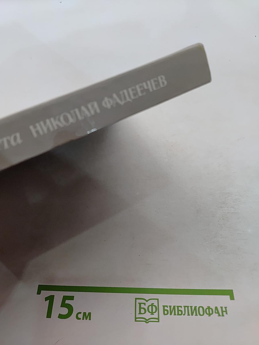 Николай Фадеечев