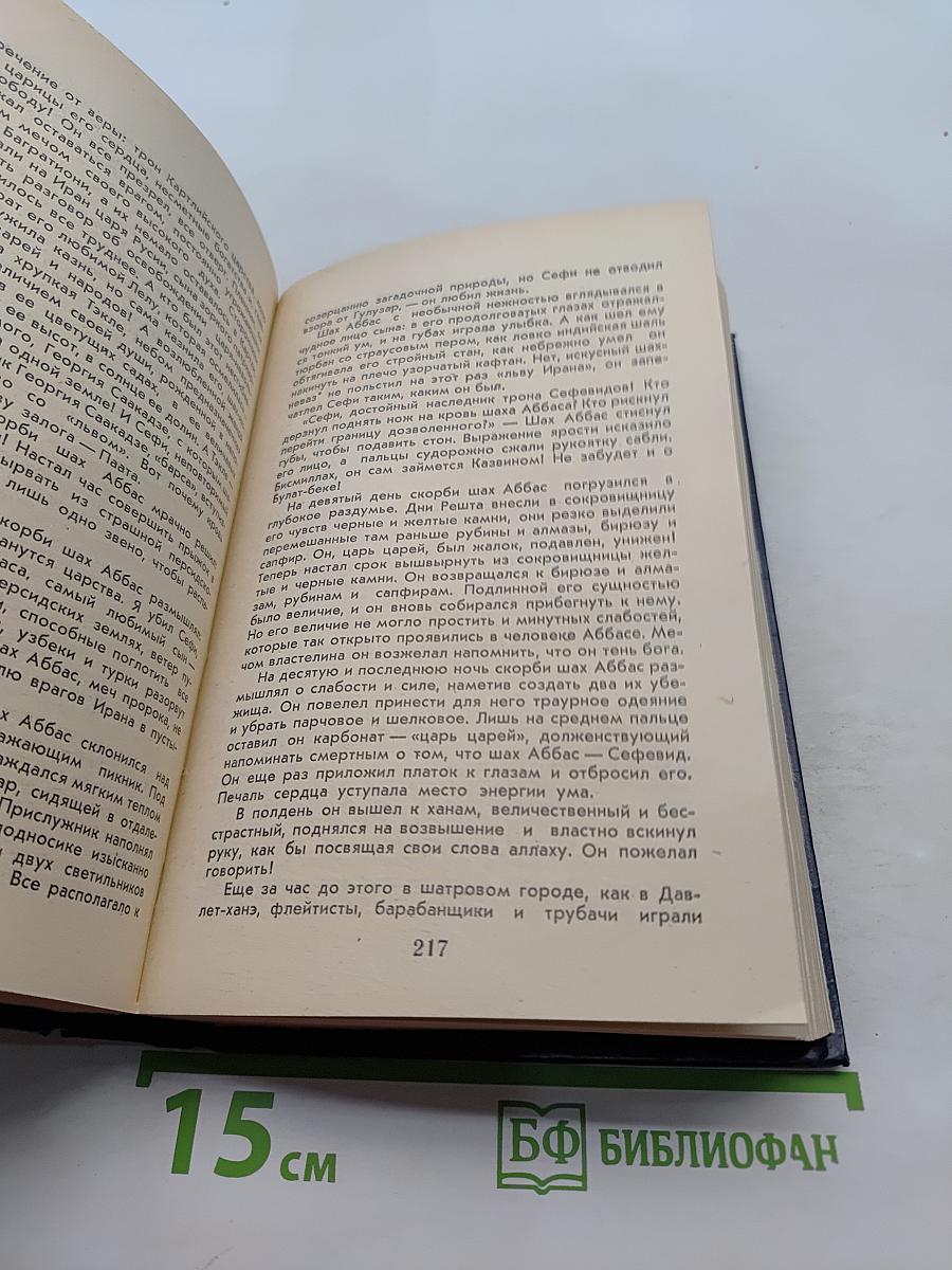 Великий Моурави. Книга пятая. Базаметский бой