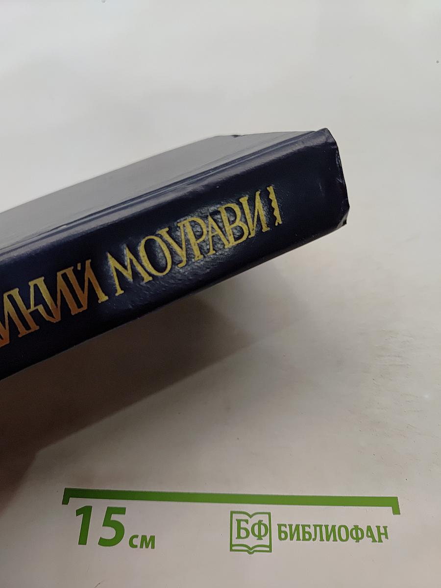 Великий Моурави. Книга пятая. Базаметский бой