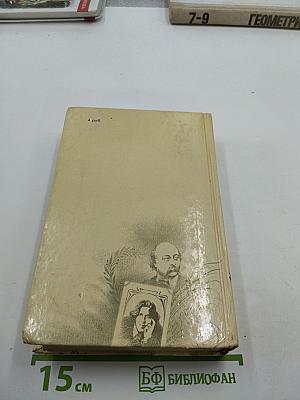 Алхимия слова. Петрарка. Король Жизни