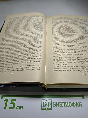 Гравилет "Цесаревич"