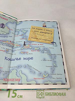 Пираты Кошачьего моря. На абордаж!