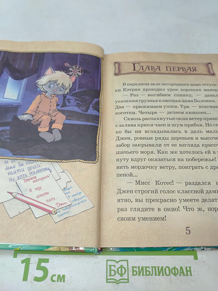 Пираты Кошачьего моря. На абордаж!