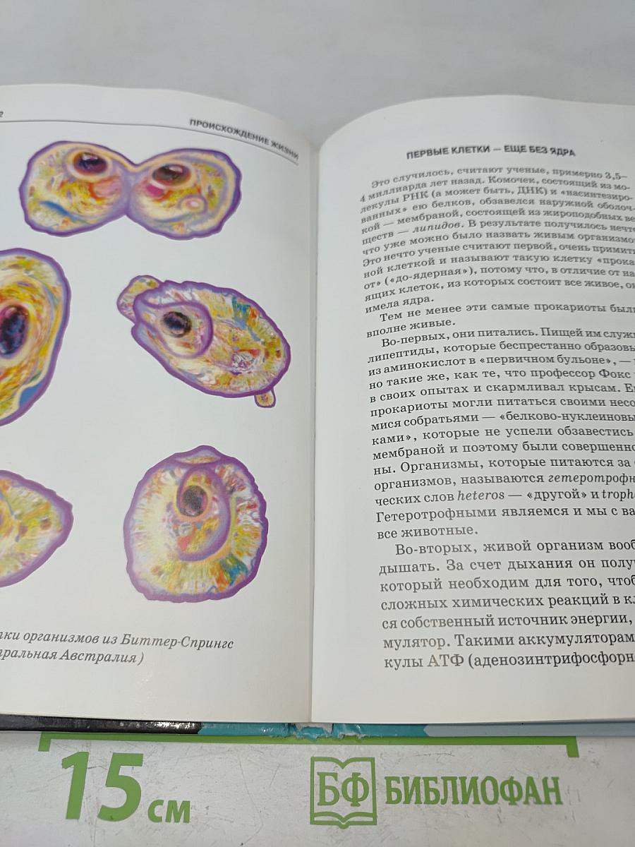 Происхождение жизни. Школьный путеводитель