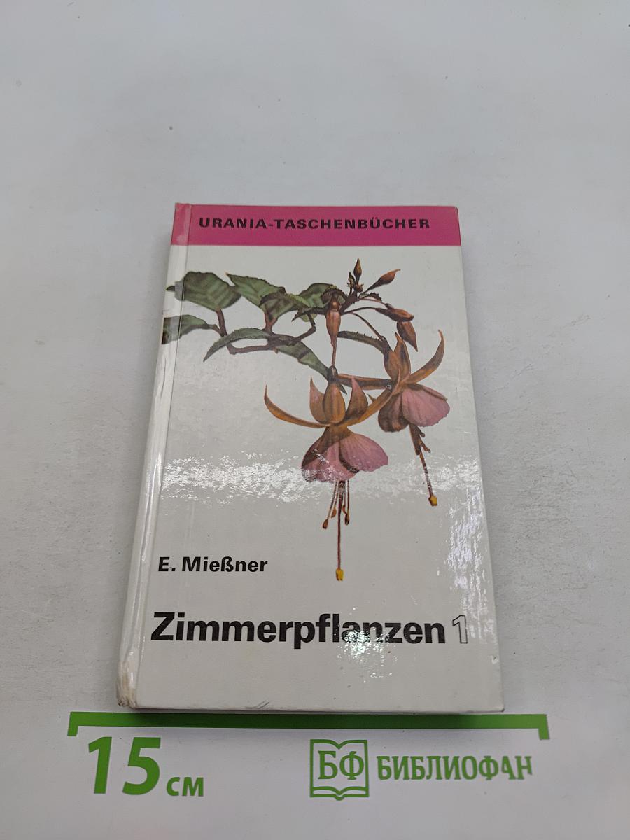 Zimmerpflanzen 1