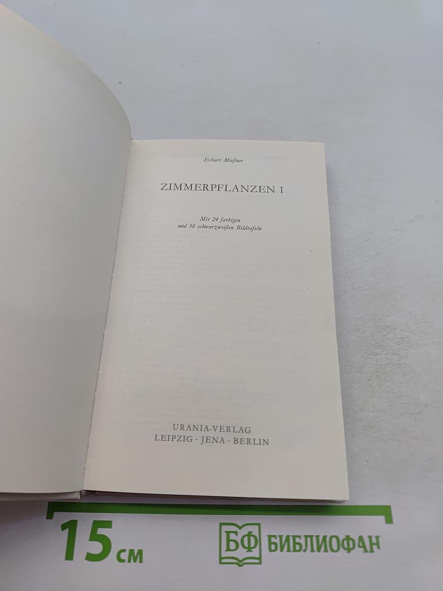 Zimmerpflanzen 1