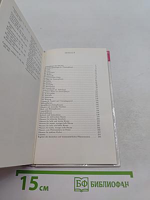 Zimmerpflanzen 1