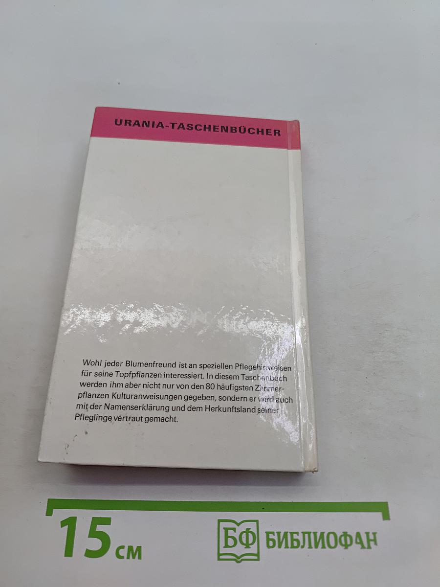 Zimmerpflanzen 1