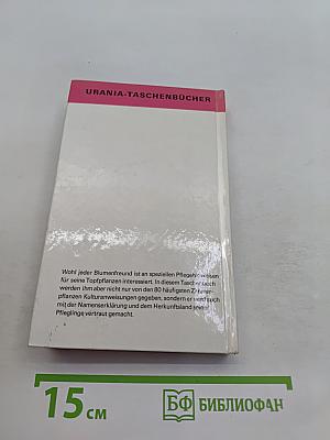 Zimmerpflanzen 1