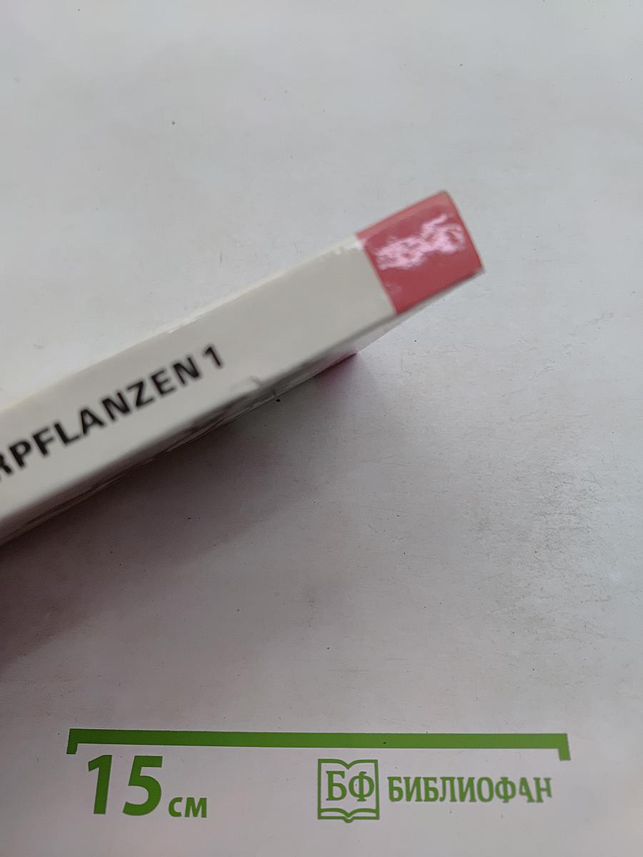 Zimmerpflanzen 1