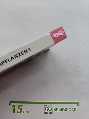 Zimmerpflanzen 1