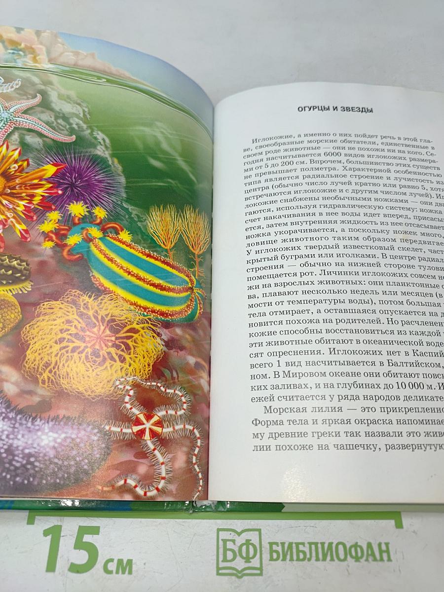 Жизнь в соленой воде