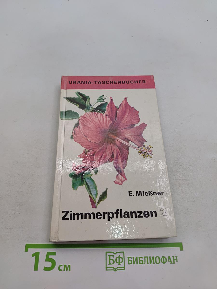 Zimmerpflanzen 2