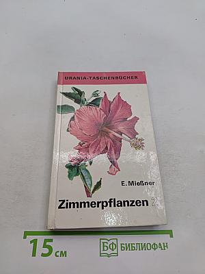 Zimmerpflanzen 2
