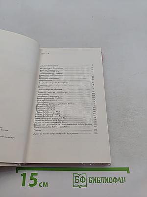Zimmerpflanzen 2