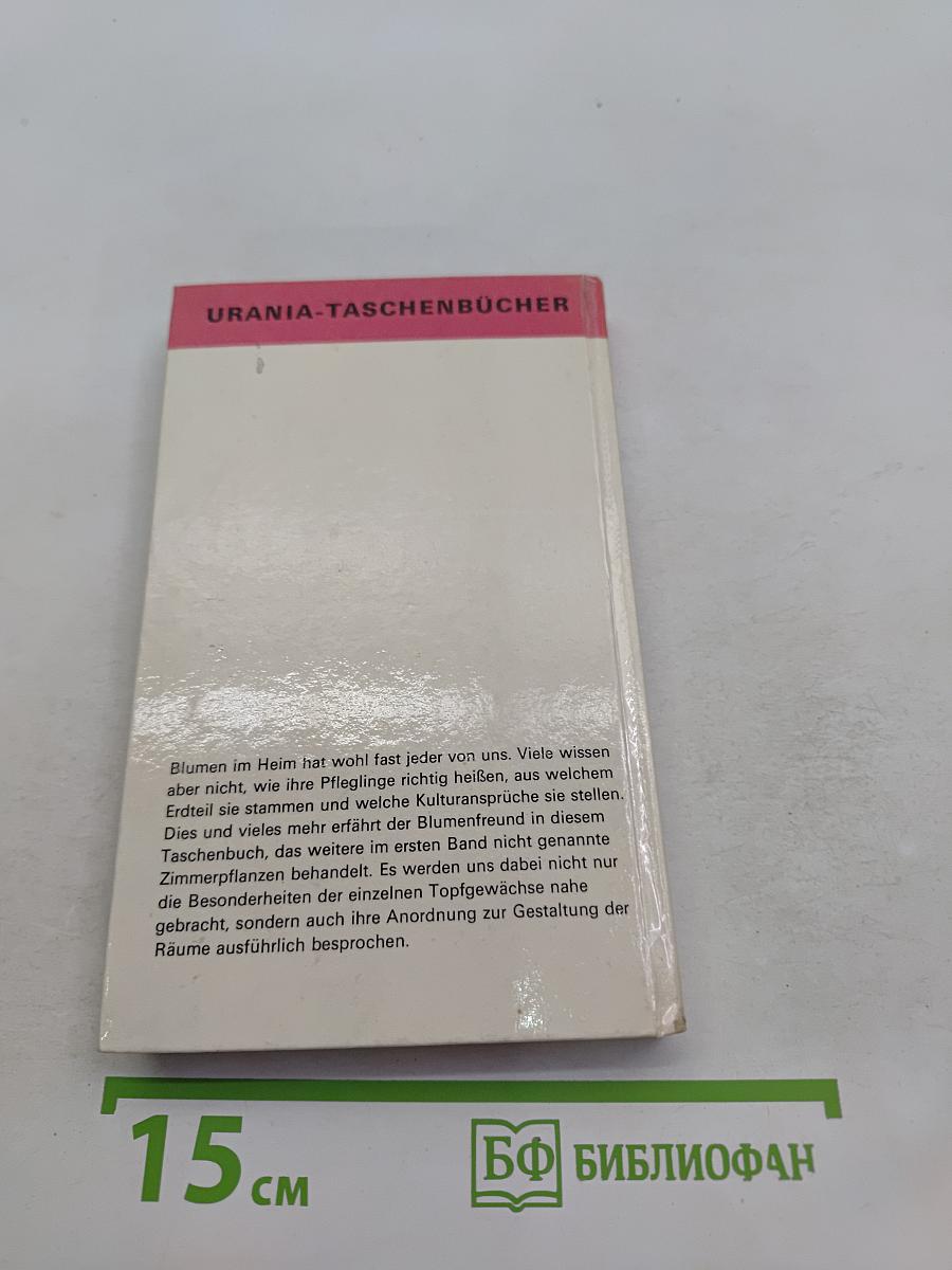 Zimmerpflanzen 2