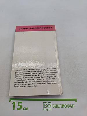 Zimmerpflanzen 2