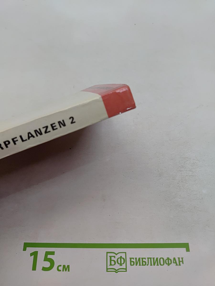 Zimmerpflanzen 2
