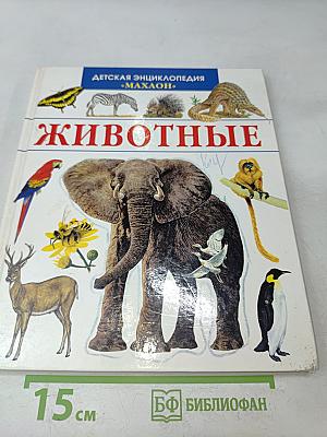 Животные
