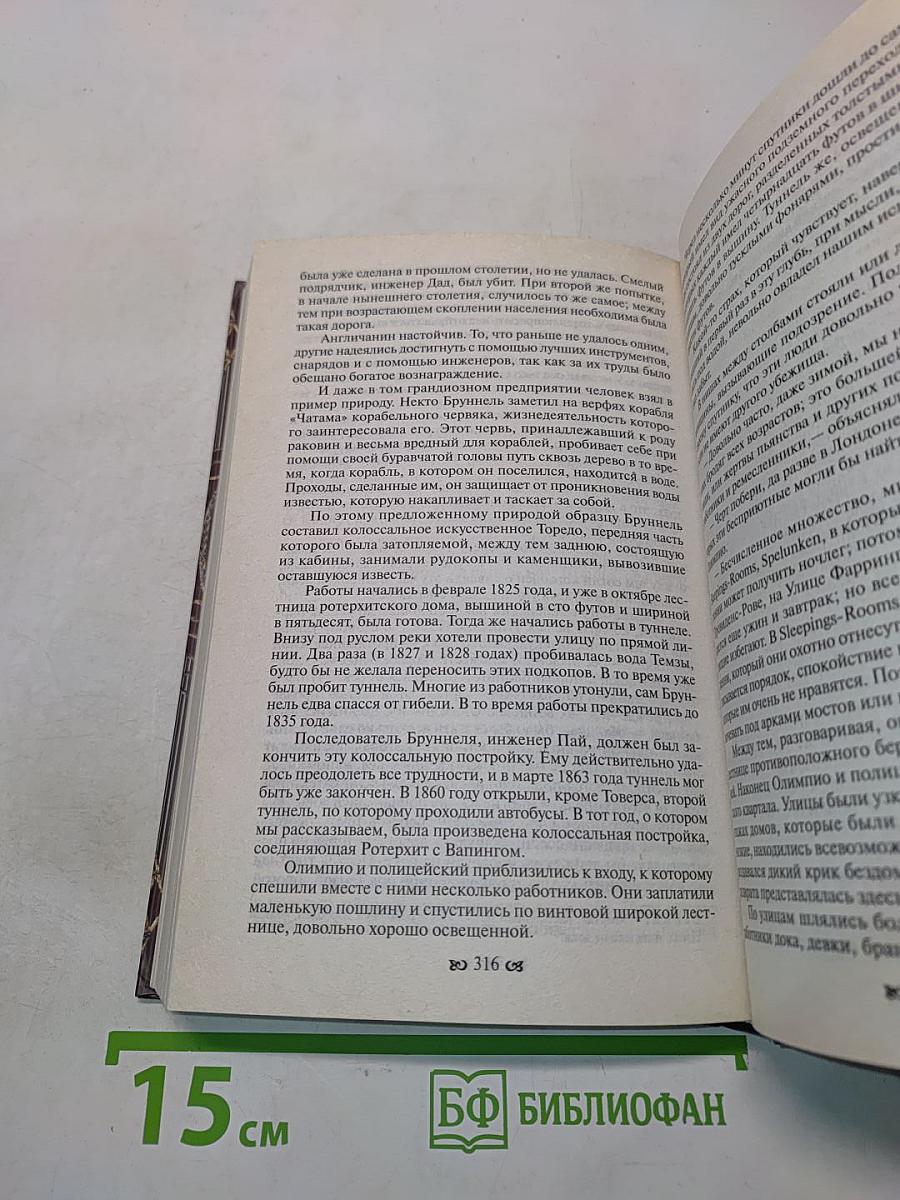 Тайны французского двора или Евгения. Книга первая